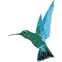Caribbean Airlines