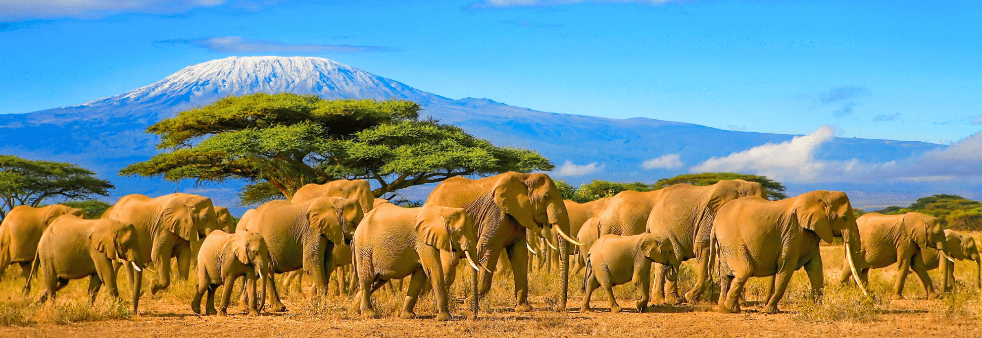 Kenya